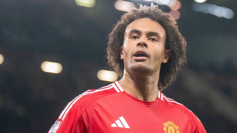 Man United delay decision on Joshua Zirkzee's future in January transfer - Ảnh 1